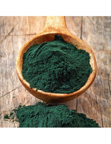 Chlorella powder suggérées chez