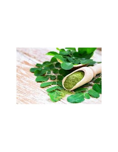 Organic moringa powder du meilleur 