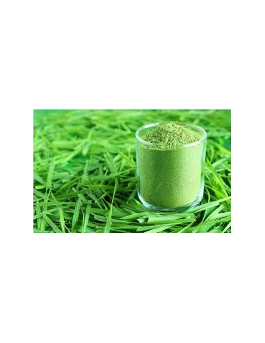 Wheat Grass Pure Powder du meilleur 