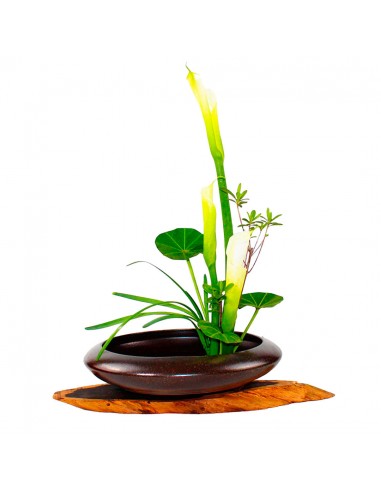 Vase Ikebana Moribana Rond Le MVP de beaucoup